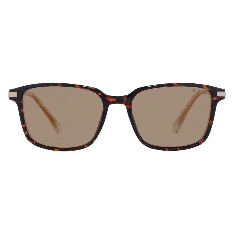 Polaroid PLD 4169/G/S/X Men's Polarized Square Sunglasses – Havana
