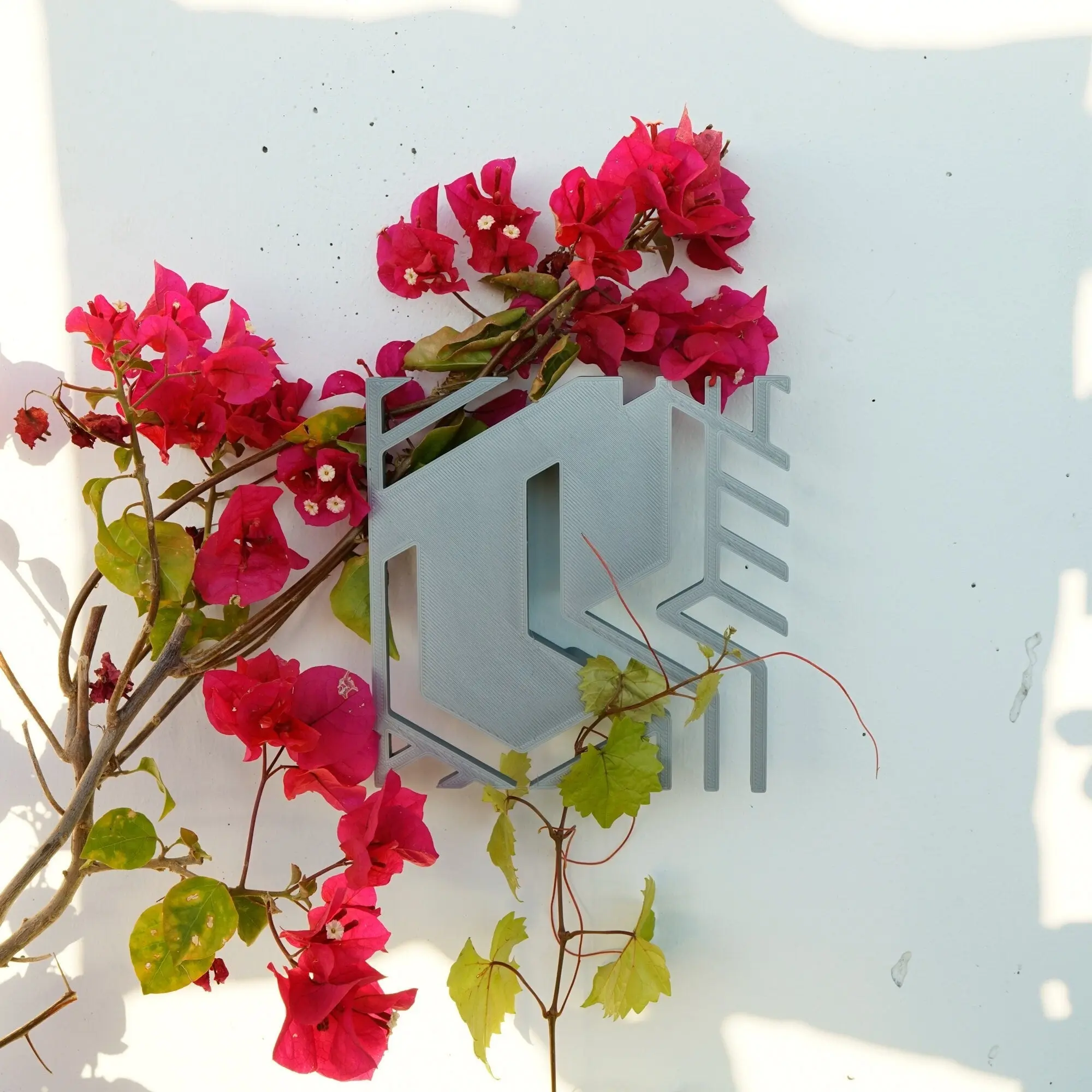 Decorative Wall Trellis for Vining Plants