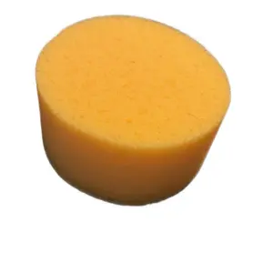 Small Sponge Perfect for DIY Projects Create a Boat for Entertaining Use Shorty Fun size 5 length 5 wide 2 1/2 thick