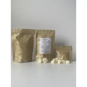 Soy Wax Melts | Scented