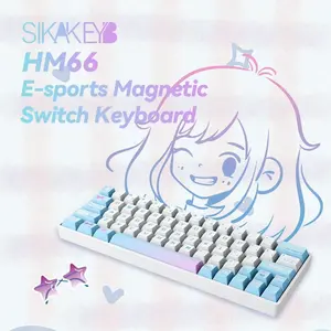GATERON SIKAKEYB Castle HM66 TKL Hyper Magnetic Gaming Keyboard, Adjustable Actuation - Compatible with GH60-60% 66 Keys - Esports Tenkeyless RGB PBT Keycaps USB-C Magnetic Jade Switch