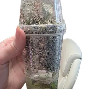 Clear Tissue Culture Acclimation Cups with Cotton Wick Disposable Plastic Glasses for Self-Watering & Healthy Root Development Hydration Moisture Grow Hydroponics