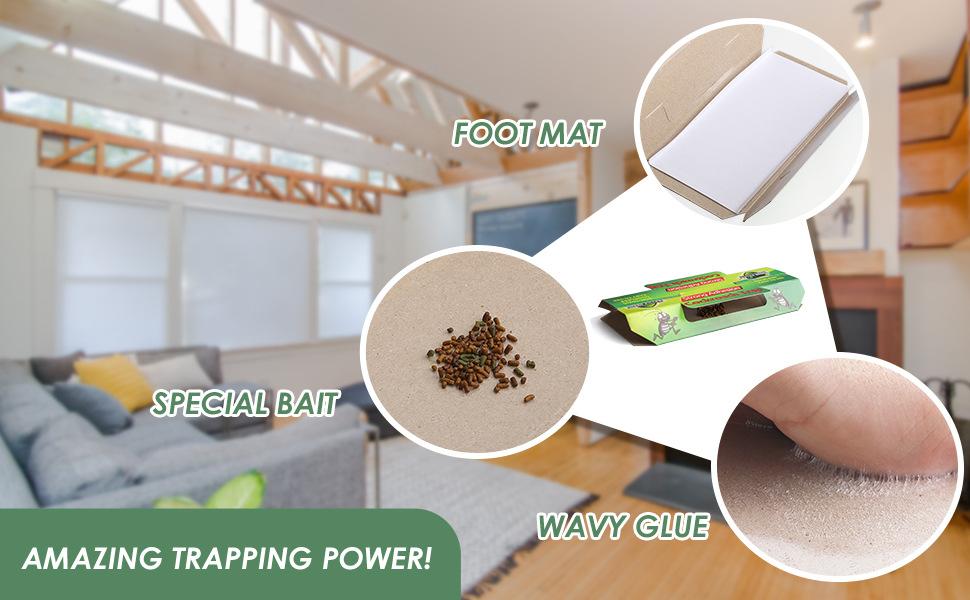 10-30 Pcs Non-Toxic Cockroach Traps - Baited Indoor Roach Killer, Pet & Kid Safe 10-30 Pcs Non-Toxic Cockroach Traps - Baited Indoor Roach Killer, Pet & Kid Safe