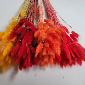 60 stems Red Dried Bunny Tail Rabbit Grass Stems - Lagurus Grass - CHOOSE C0LOR - Naturally Dried - Boho Wedding Decor