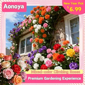 Rose Seeds(300/1000 seeds)-Heirloom and varieties for the home garden, non-GMO, easy-to-grow beautiful perennial flowersMaintenance Long Blooming Period