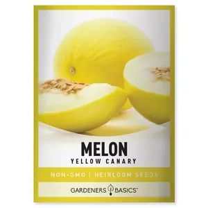 Yellow Canary Melon Seeds