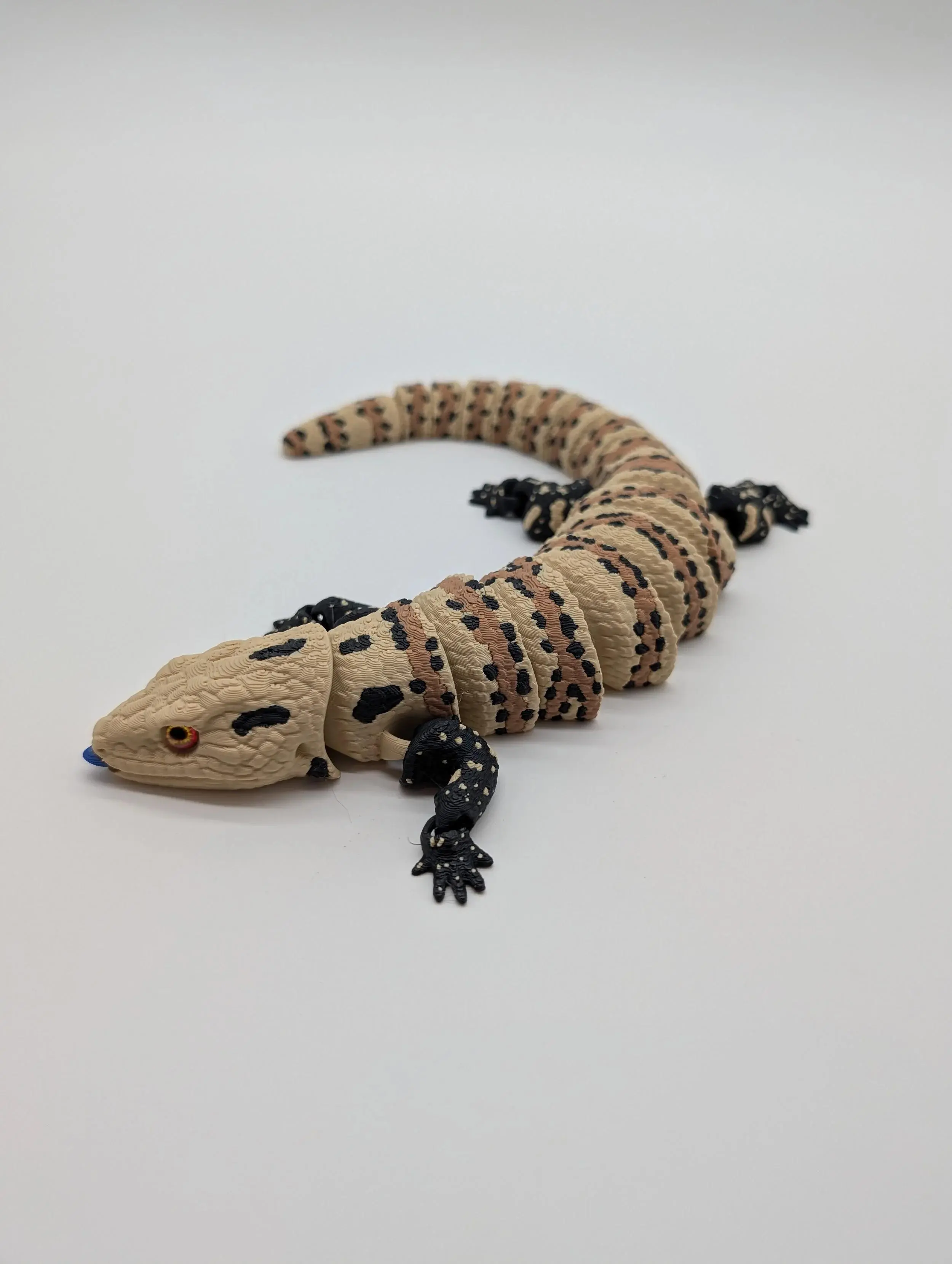 Blue Tongue Skink