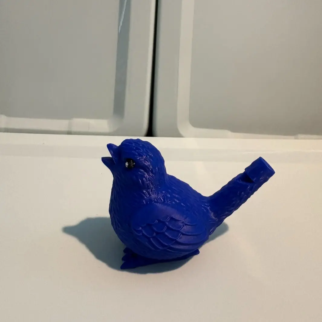 Bird Whistle, Kids' Wind Musical Toy for Outdoor Play
