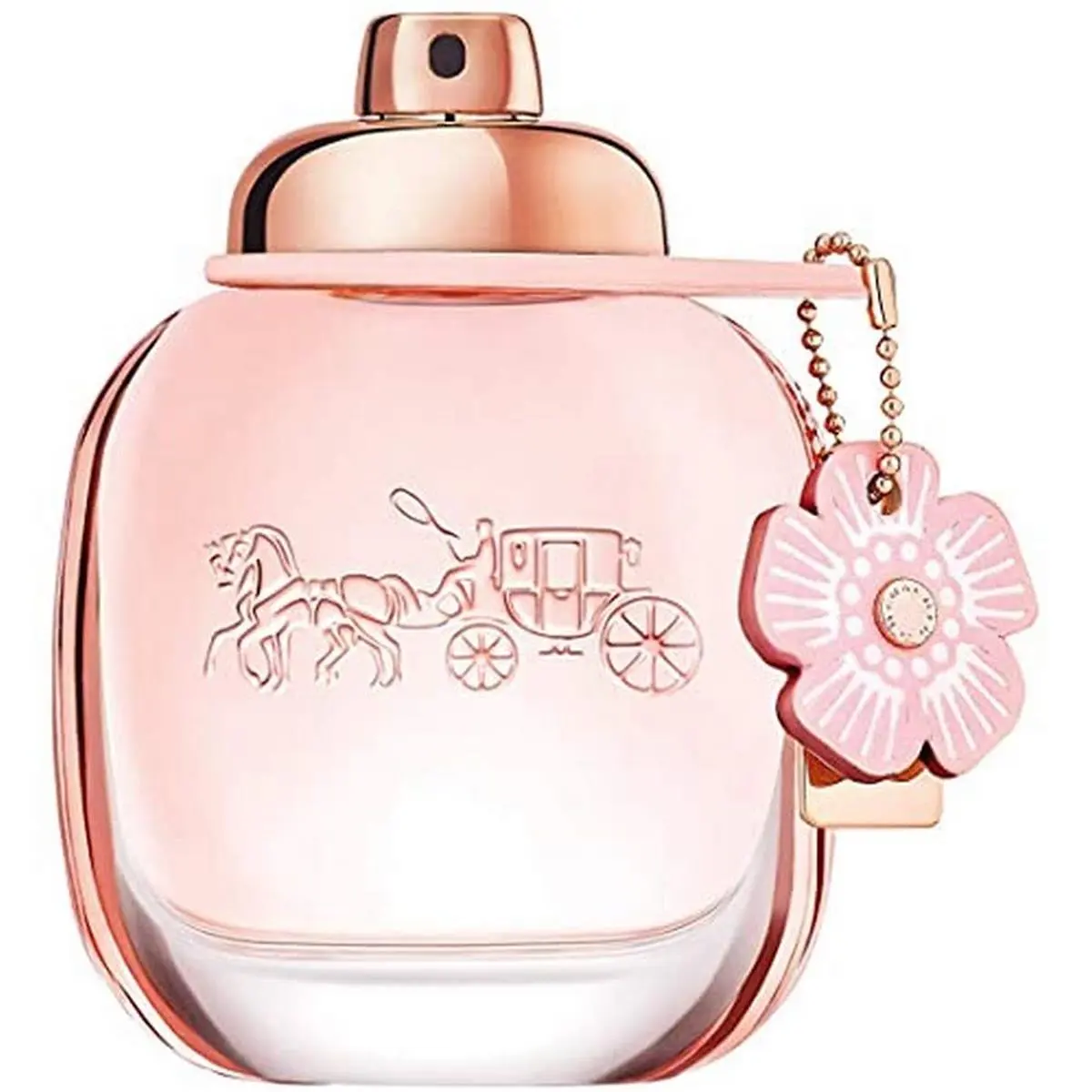 Coach Women's Floral Eau De Parfum Spray - 1.7 oz, feminine and delightful fruity-wood scent, launched in 2018 (10073840), Bergamot Amber Musk Women's Fragrance, Co, Aromatic Fruity Fragrance, Floral Fruity Perfume