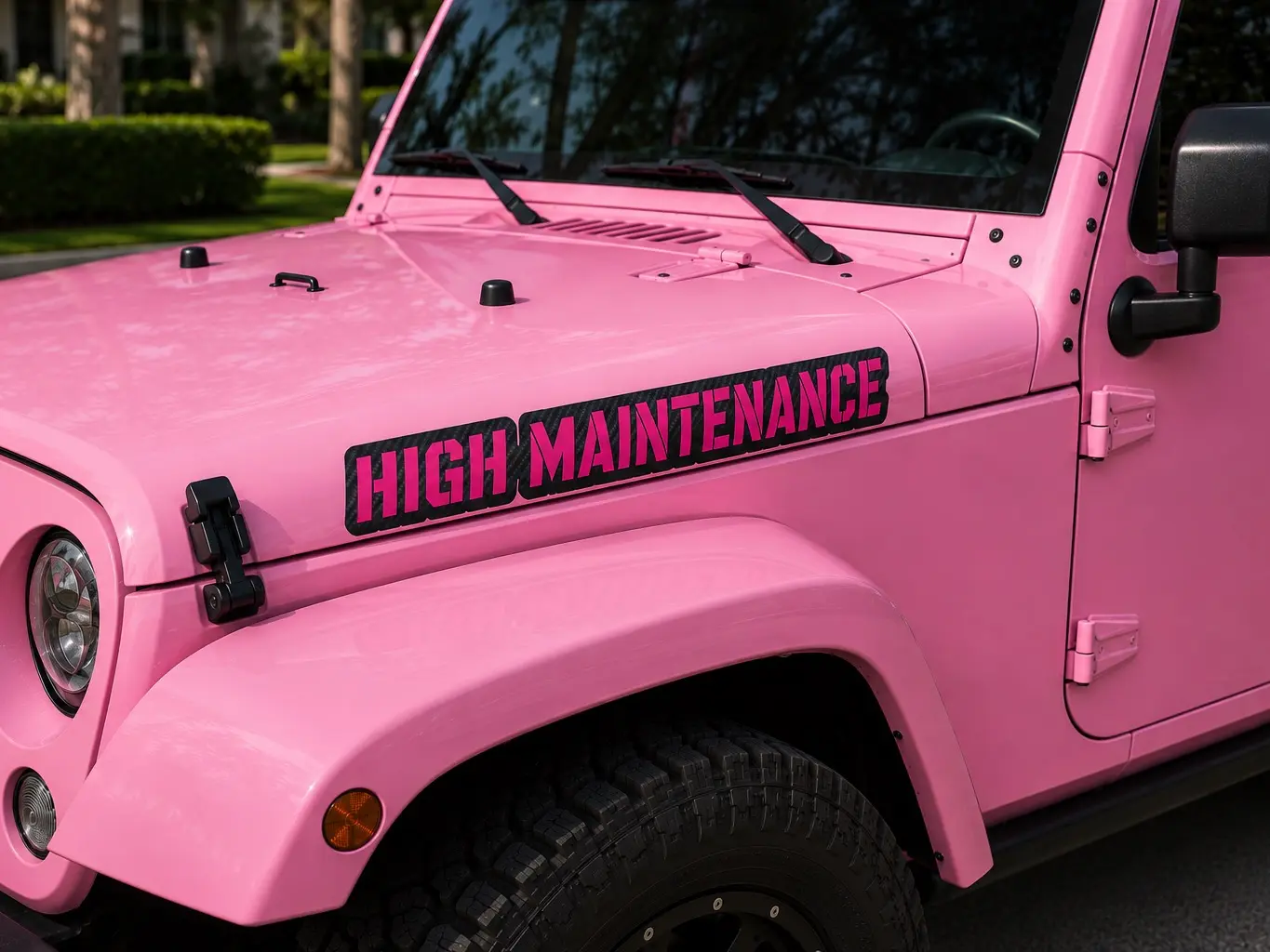 Carbon Fiber Background Custom Decal Hood Name
