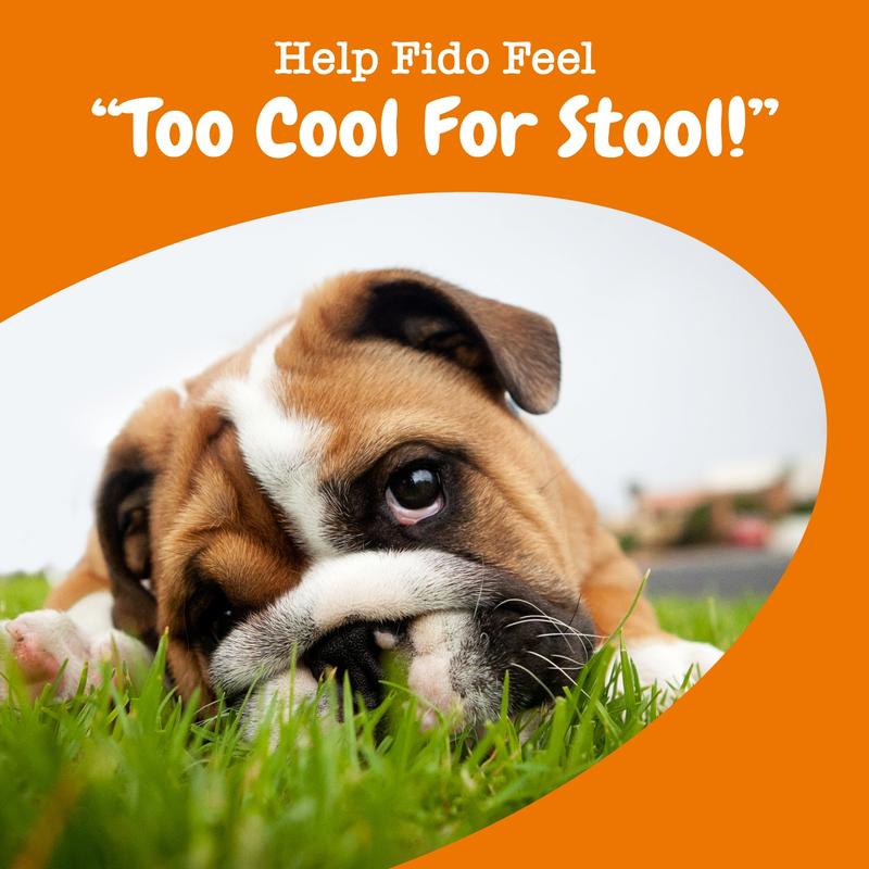 Zesty Paws Chew No Poo Bites™ for Dogs - Chicken Flavor All Natural Digestive Support Supplements with Capsimax & Probiotics