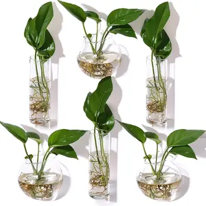 6 Pcs Wall Vase Indoor Propagation Planter with Suction Cup and Invisible Traceless Hanger for Hydroponic Flower Succulent Summer Wedding Wall