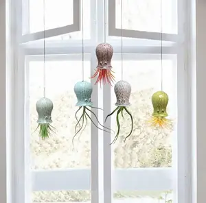 Hanging Air Plant Buddies Hanging Air Plant Buddies