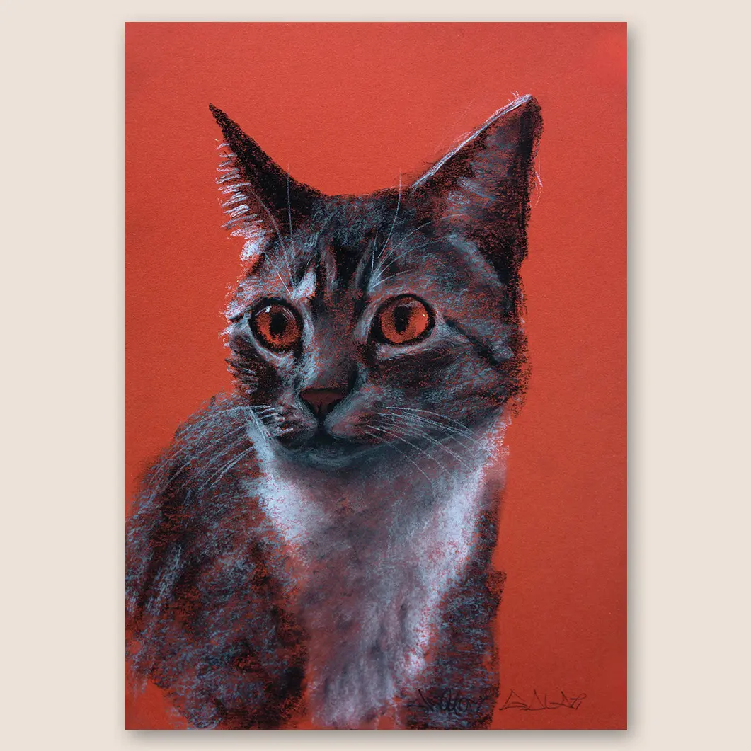 Tabby Cat Bhutan Original Conte & Charcoal Drawing on Toned Paper - 11"x16" Artwork Featuring Detailed Eyes in Realistic Loose Style