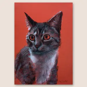 Tabby Cat Bhutan Original Conte & Charcoal Drawing on Toned Paper - 11"x16" Artwork Featuring Detailed Eyes in Realistic Loose Style