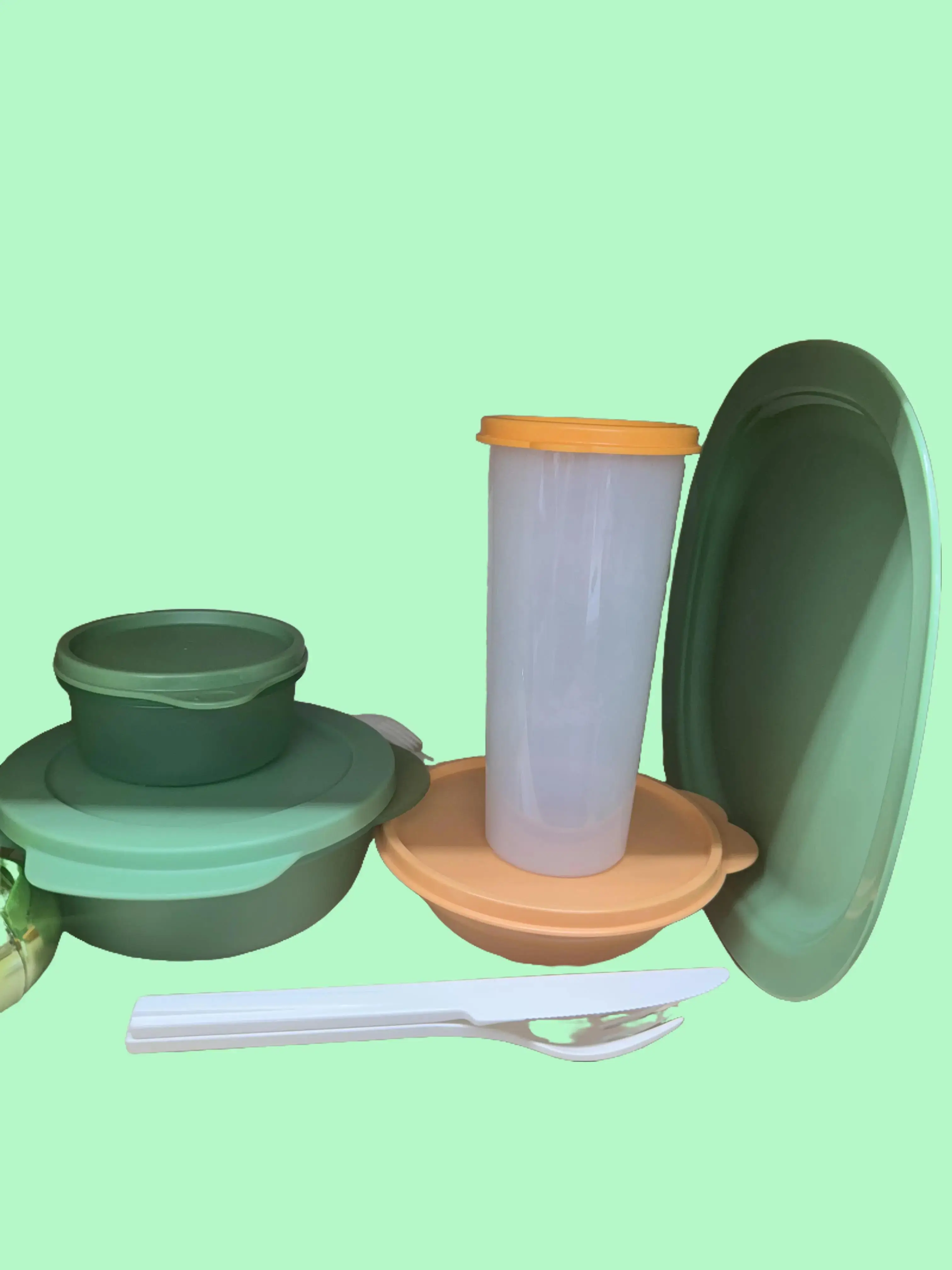 tupperware build your large lunch set /Bag free tupperware build your large lunch set /Bag free