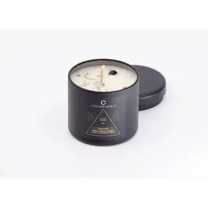 Thoth Ritual Soy Candle with Botanicals & Tigers Eye
