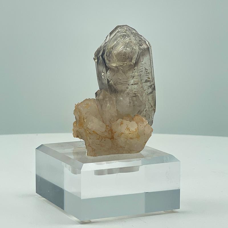 [Earth Archive] Namibian Backbone Smokey Quartz | Crescent Cast