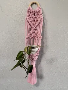 Mini Wall Plant Hanger