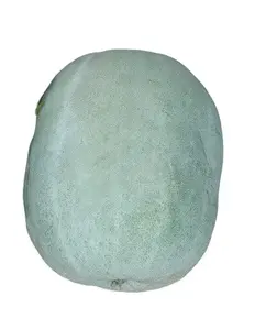Giant Wax Gourd Seeds - Non-GMO Heirloom - Nutritive & Versatile Fruit - Ideal for Home Gardeners & Sustainable Growers - 100-120 Day Growing Period - Well-Drained Soil - pH 6.0-6.8