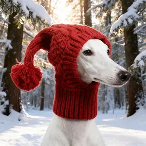 Cute Dog Hat, Warm Knitted Outdoor Pet Hat, Pet Costume Accessories for Small Medium Large Dogs & Cats, Dog & Cat Clothing Supplies