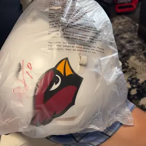 ASK BEFORE YOU BUY! (1) TEAM-Signed Licensed Authentic Football Helmet