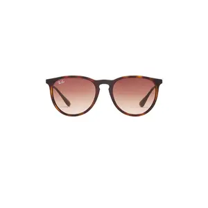 Ray-Ban Erika Classic Sunglasses in Rubber Havana