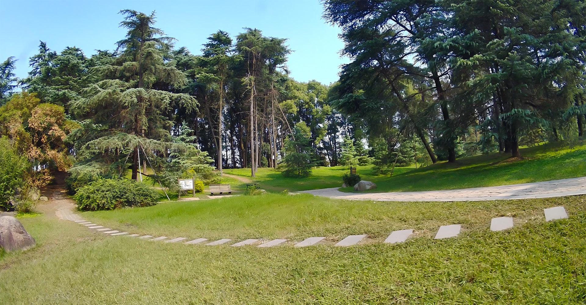 Walksnail Moonlight kit