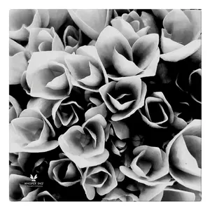 Silence Cloth Napkins