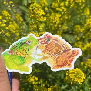 Tongue Tied - Frog Lovers Vinyl sticker 3”x 1.57”