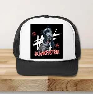 Custom Dog Cap, Dog Print Hat, Cute Dog Hat, Cool Sun Hats for Men, Pitbull Lover Gift, Dog Lover Cap