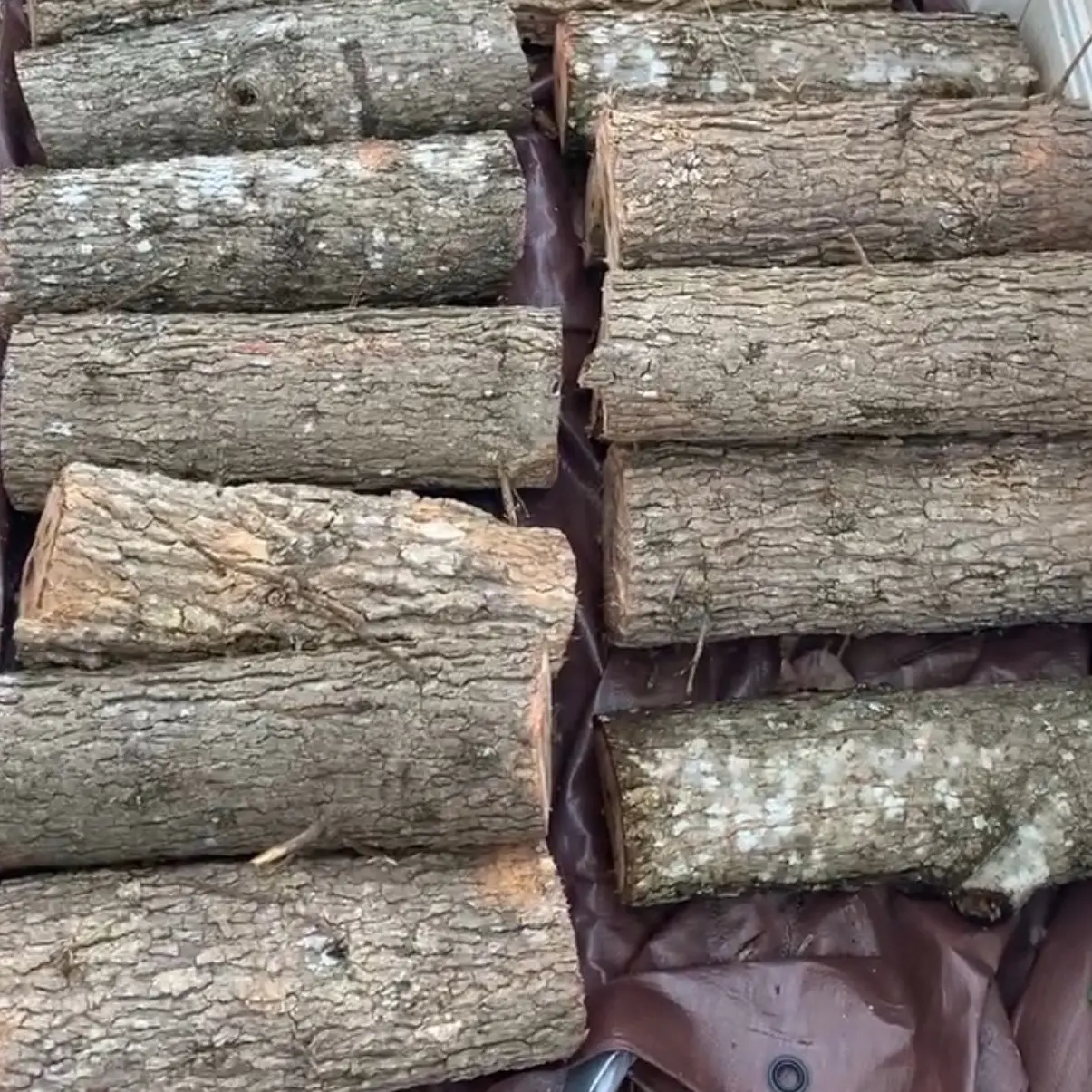 Nayeema Farms Raw Log Bundle