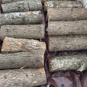 Nayeema Farms Raw Log Bundle