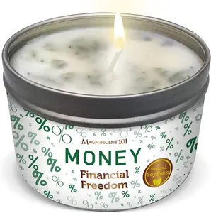 Money Financial Freedom Aromatherapy Candle − Clove, Cinnamon, Citronella Scented Natural Soybean Wax Tin Candle for Purification and Chakra Healing Gift Freshener