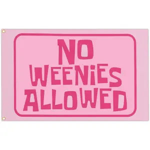 No Weenies Allowed Flag Tapestry Pink Funny Flags for Teen Girls Room Bedroom College Dorm Meme Flags Man Cave Wall Art Decor Banner Gifts