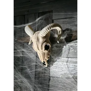 Plastic Ram Skull Prop Halloween Decoration