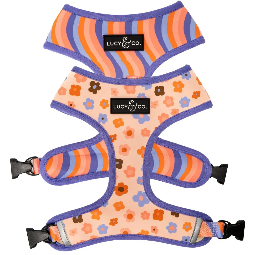 The Let's Groove Reversible Dog Harness