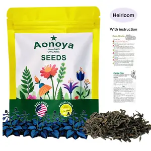 Hosta Seeds Perennial Shade Plant for Garden and Yard Non-GMO USA Made with Instructions for Easy Care and Versatile Growth