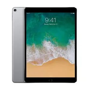 Refurbished Apple iPad Pro 10.5" 64GB Wi-Fi Space Gray 2017 with Retina Display & Charger Block and Cable