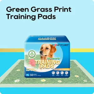 [S]HONEYCARE : All-Absorb Gigantic Dog and Puppy Training Pads, Incontinence Training Pads, Pee Pads