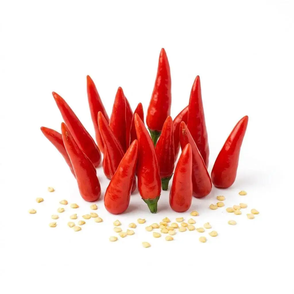 500 Facing Heaven Pepper Seeds for Planting - Spicy, Fiery & High Yielding Chili Seeds for Home Garden - Authentic Asian Chao Tian Jiao