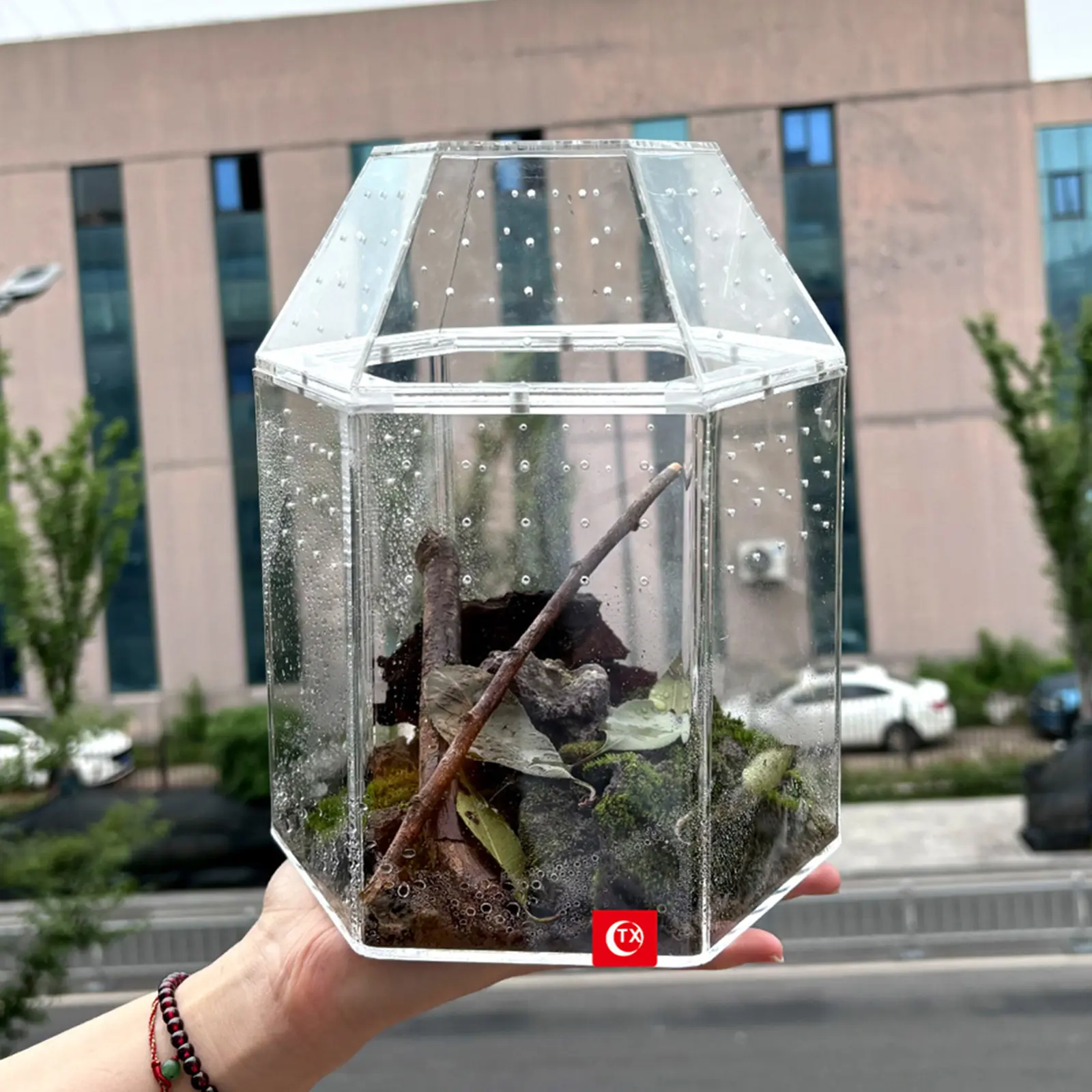 Acrylic Transparent Jumping Spider Enclosure - 180x160x220mm (7.09x6.3x8.66in) Single Unit Bug Terrarium, Secure Habitat with Effective Ventilation for Small Reptiles, Breeding & Observation Use, 180.00 X 160.00 X 220.00 Mm