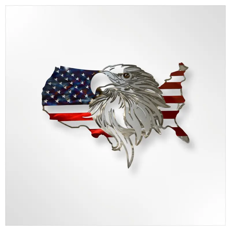 US outline eagle flag