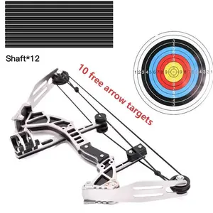 9.5 Inch Mini Bow and Arrow Set with Adjustable Draw Weight, High Precision Targeting Kit with 12 Durable Aluminum Arrows for Outdoor Fun and Training