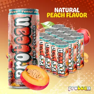 ProTEAn Real Tea + Protein 12oz/Can (355ml) - Peachy Flavor, 15g Protein, Hydration & Protein with All Natural Fruit Beverage, Whey Flavor