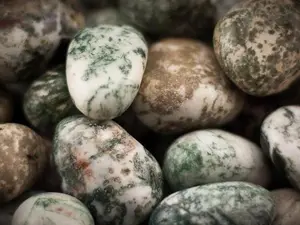 Tree Agate Tumbled 1 lb