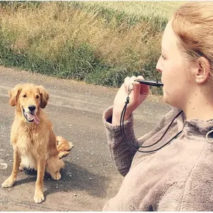 Long Range Dog Training Whistle, High-Pitched Sound Puppy Trainer, Effective Canine Control Tool, Durable Design for Reliable Use