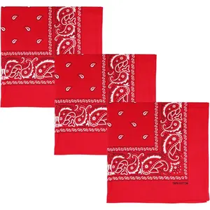 Bandana Multi-Purpose  Cotton Headbands for Women, 22 inch Paisley Cowboy Bandanas for Men