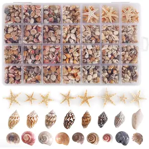 F-HDJ07  60pcs Tiny Starfish 1800 Pcs Tiny Mini Small Sea Shells for Crafting Spiral Conch Shells for Crafts Charms for Home Decorations Candle Decor DIY Fish Tank and Beach Vase Filler