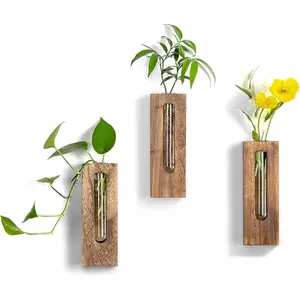 Wall Hanging Plant Propagation Station: Wood Farmhouse Wall Decor for Livingroom Kitchen - Hanging Glass Planter Tubes for Indoor Dried Flowers Eucalyptus Gifts for Women Plants Lovers